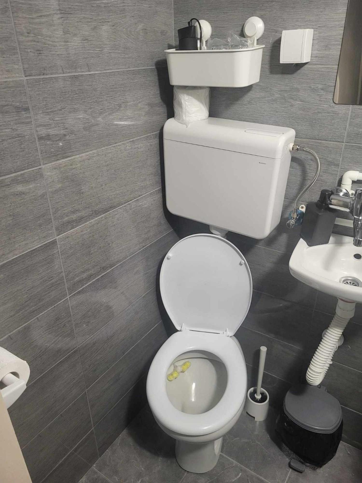 Djokic 2 Apartment *